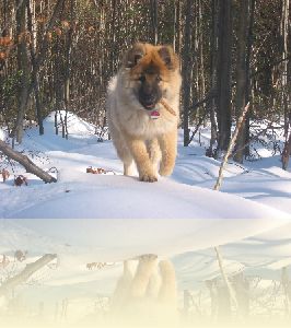 Laufen im Schnee macht Spass